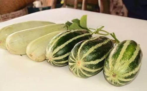 微信免费吃网红瓜,免费尝鲜！一起解锁微信网红瓜的秘密  第2张