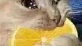 火影许愿夺宝最新爆料,神秘宝藏揭晓，最新爆料揭秘夺宝之路！